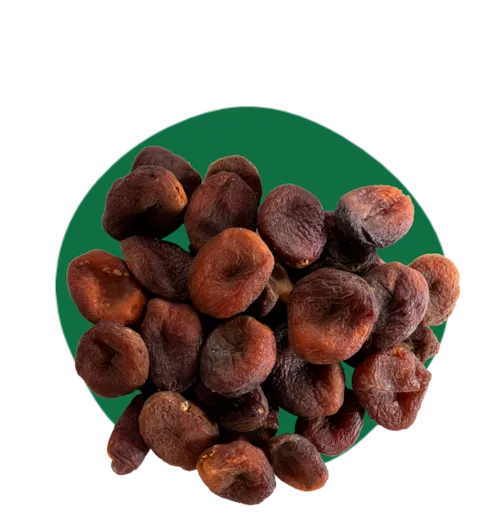 Abricots secs Bio