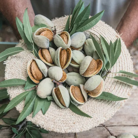 Amandes