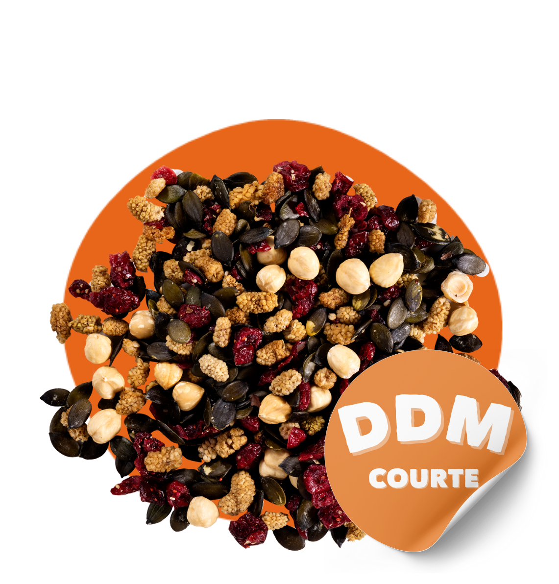 Mix La Régalade Bio - noisettes, mûres blanches, cranberries et graines de courge