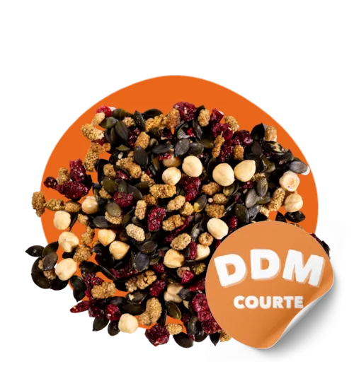 Mix La Régalade Bio - noisettes, mûres blanches, cranberries et graines de courge