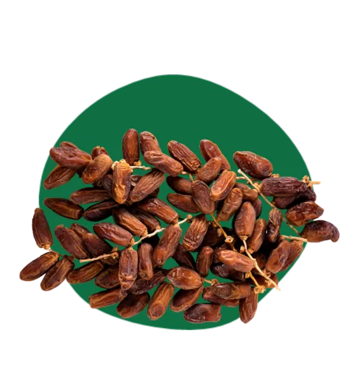 Dattes branchées