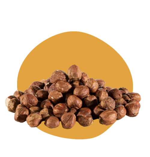 Noisettes décortiquées 11/13 - 1 kg