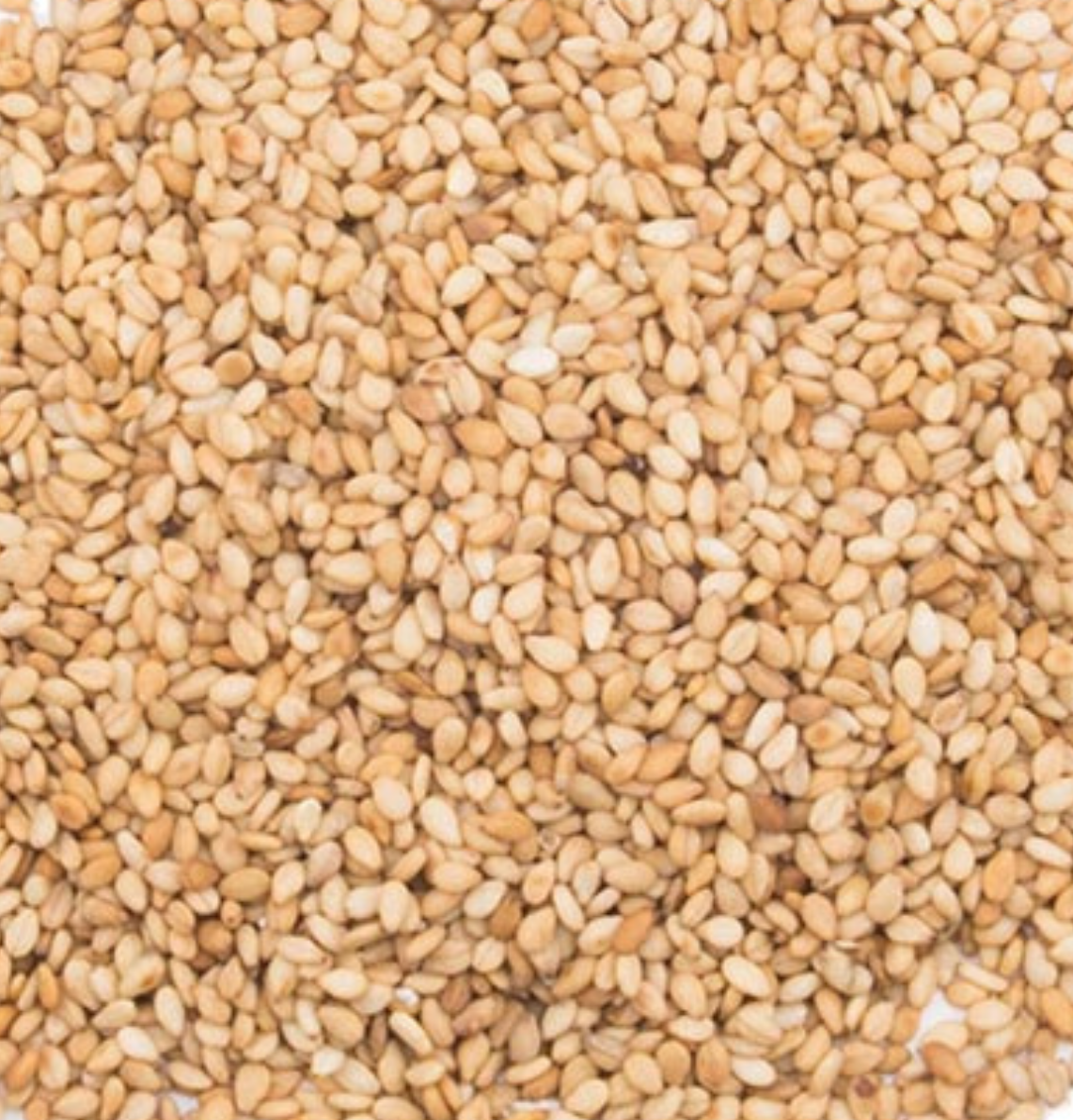 Graines de sésame Bio - en vrac