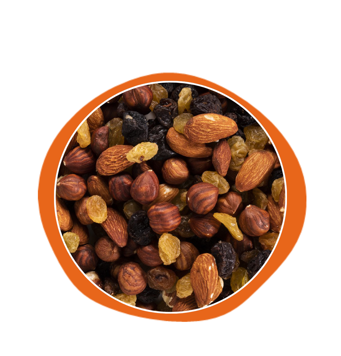 Mix 3 Fruits - BIO - Amandes, raisins, noisettes