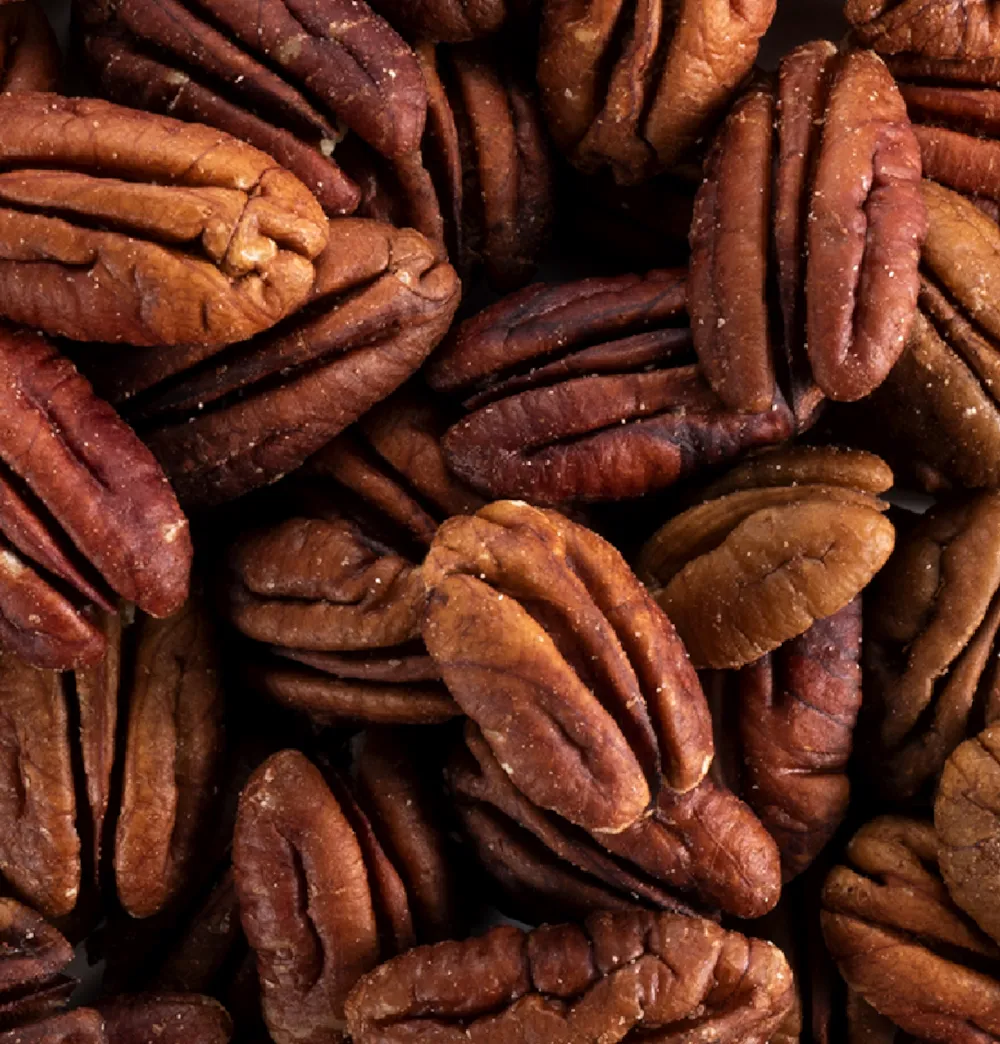 Noix de pécan en gros