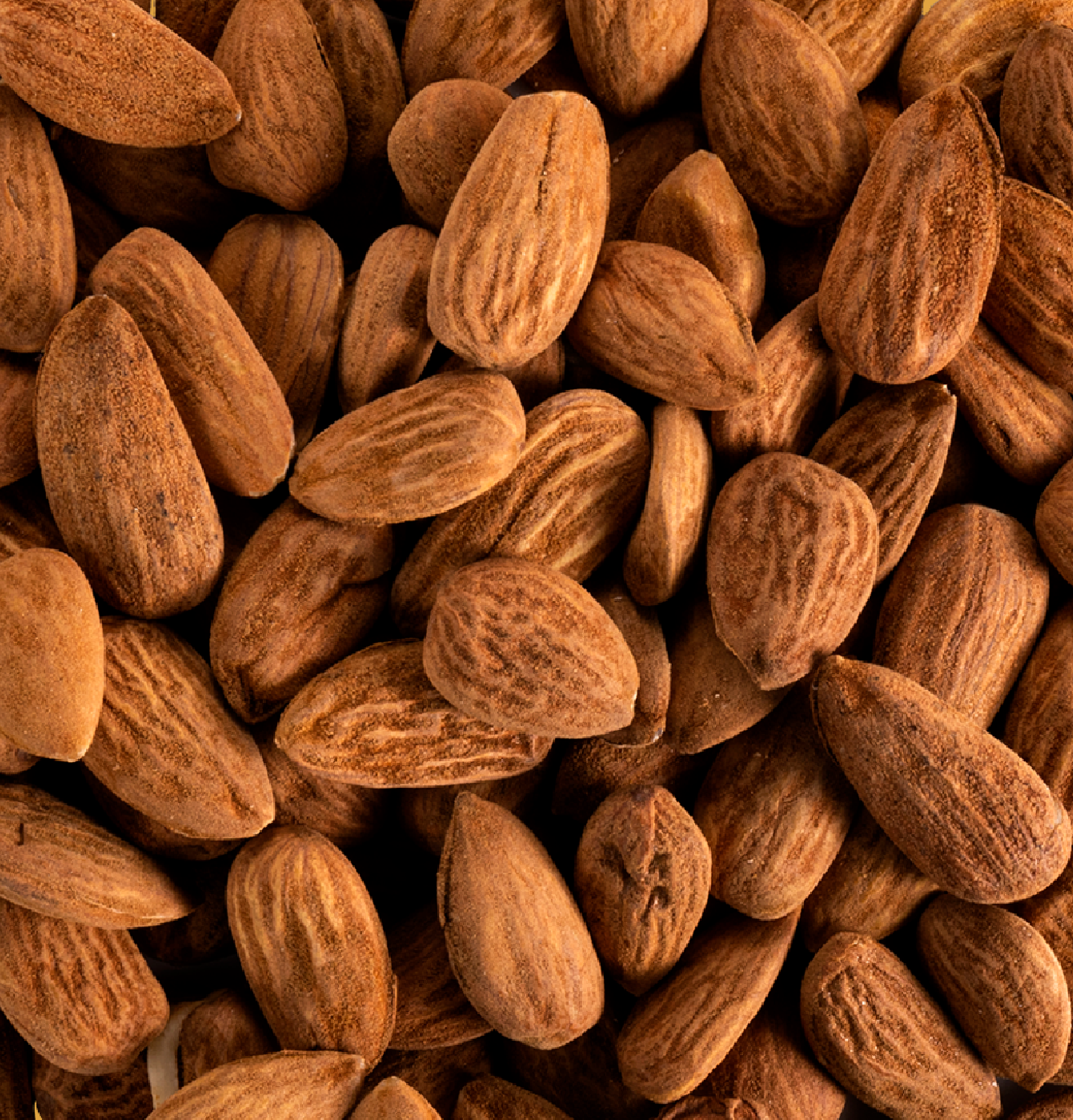 Amandes décortiquées Valencia Bio - en vrac