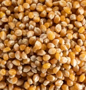 Céréales et graines en gros