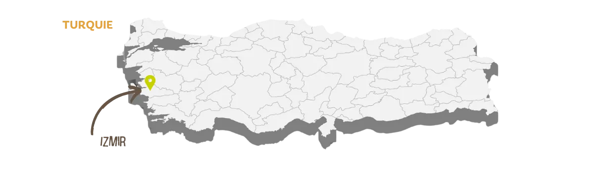 Carte Turquie, figues