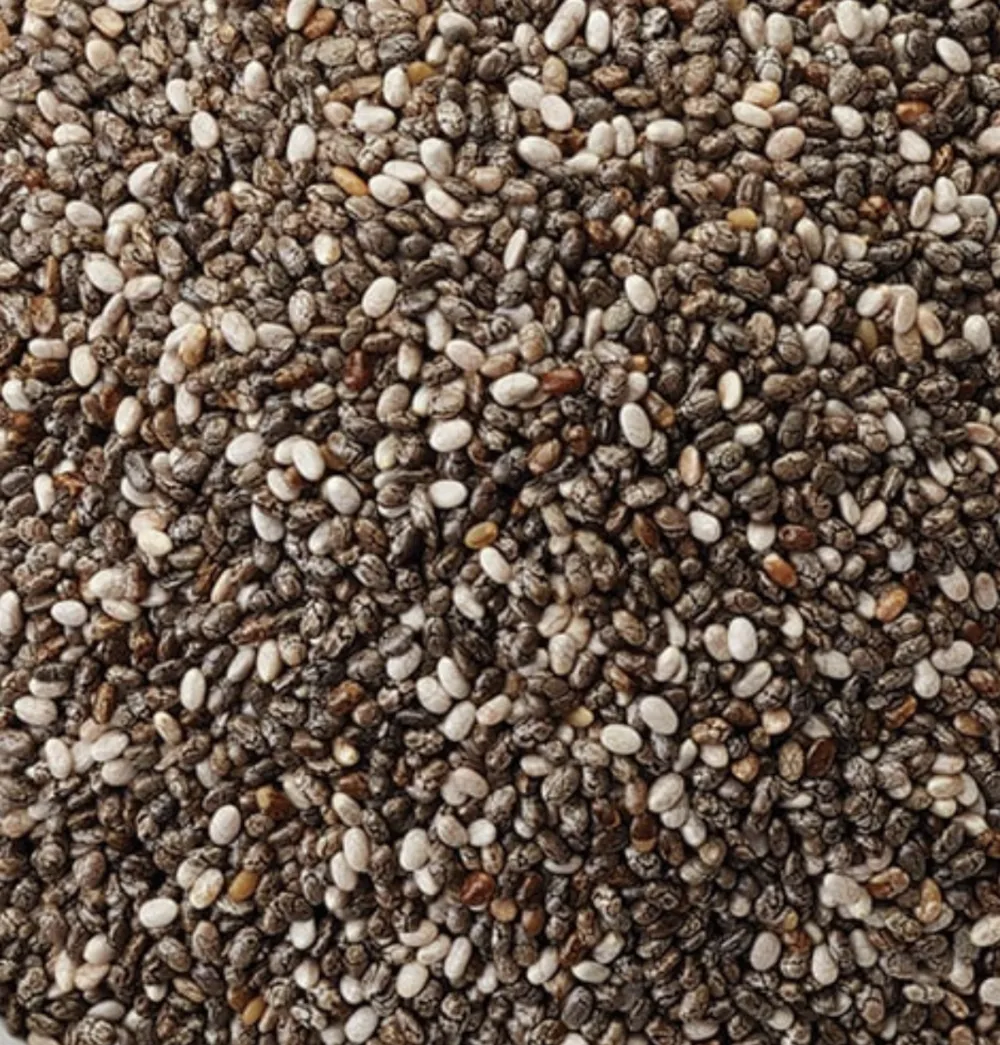 Graines de chia en gros