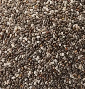 Graines de chia en gros