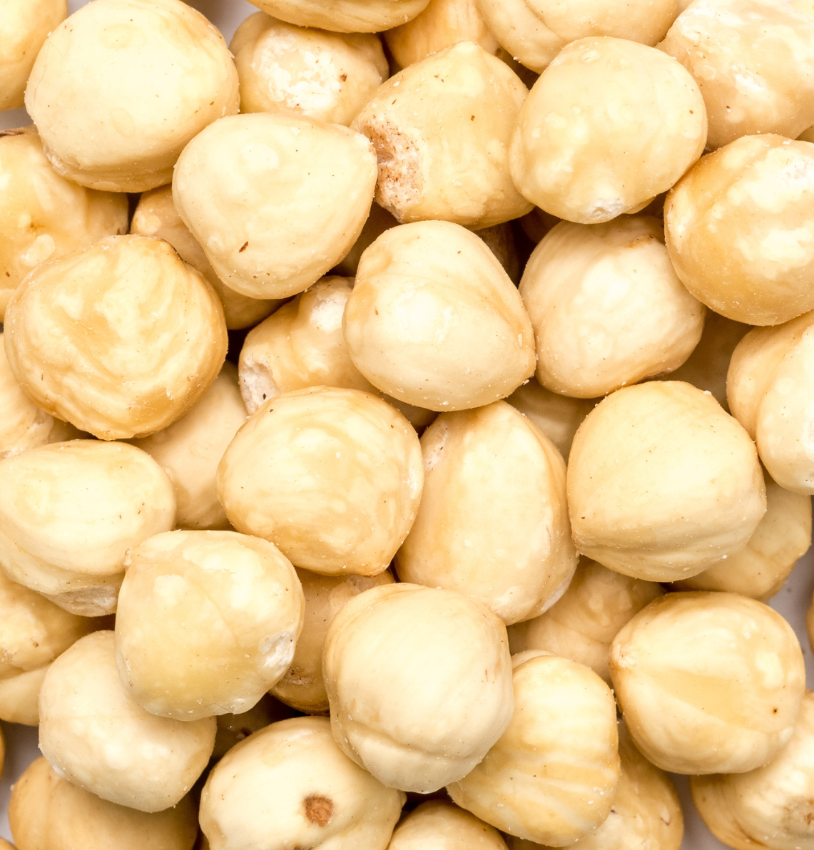 Noisette naturelle décortiquée Turquie 13-15 - en vrac