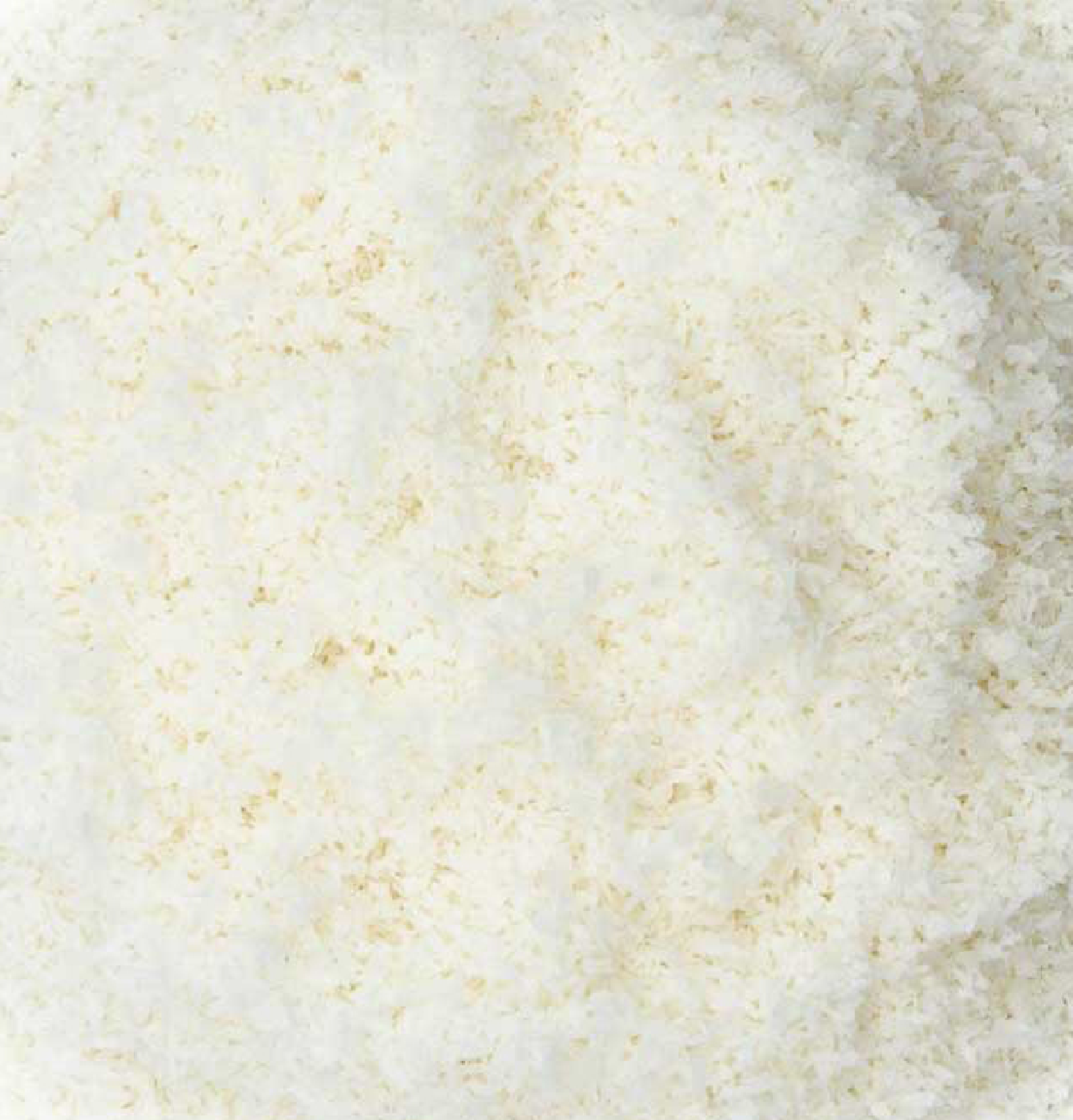 Noix de coco râpée fine