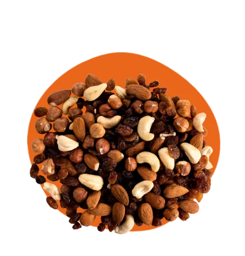 Mix Craint Dégun Bio - noix de cajou, amandes, noisettes et raisins