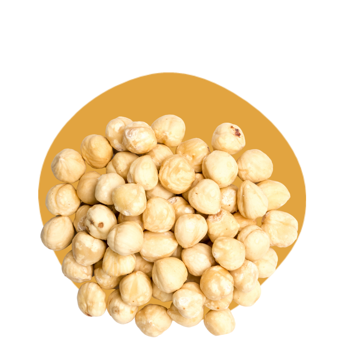 Noisette naturelle décortiquée Turquie 13-15 - en vrac