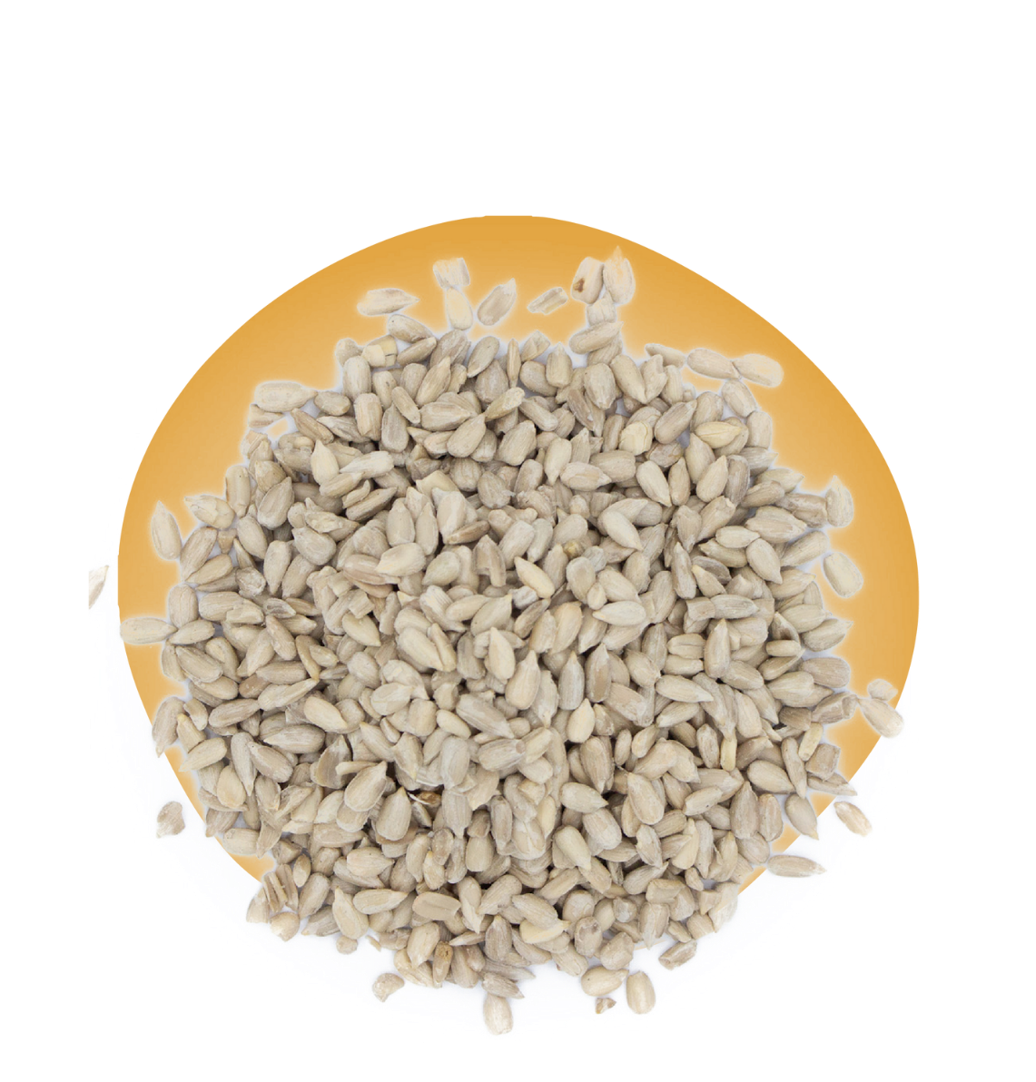 Graine de tournesol décortiquées Bio - en vrac