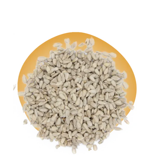 Graine de tournesol décortiquées Bio - en vrac