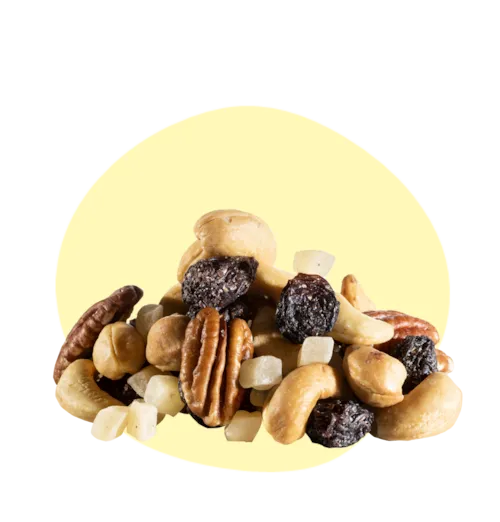 Mix Pause Fruitée - raisins, noix de cajou, pommes, noix de pécan