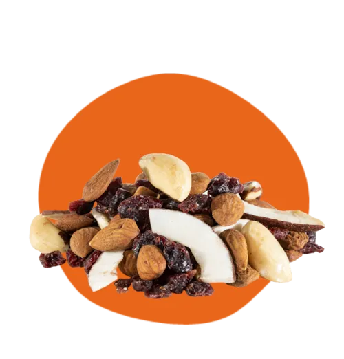 Mix Le Dégaine Bio - amandes, cranberries, noix de coco et noix du Brésil