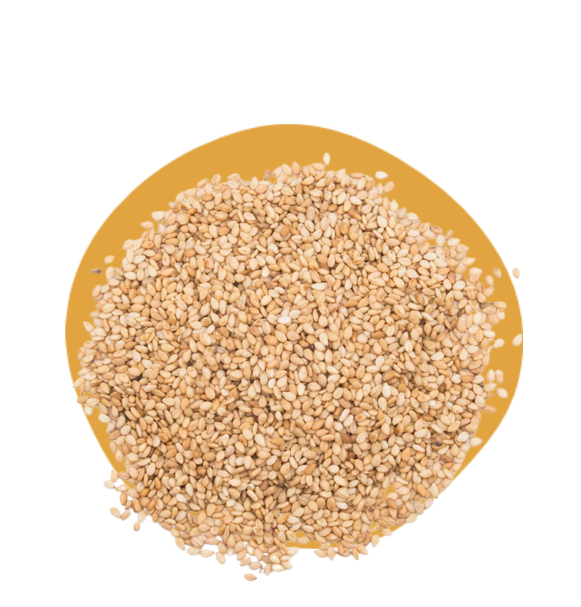 Graines de sésame Bio - en vrac