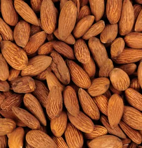 Fruits à coque et graines en vrac