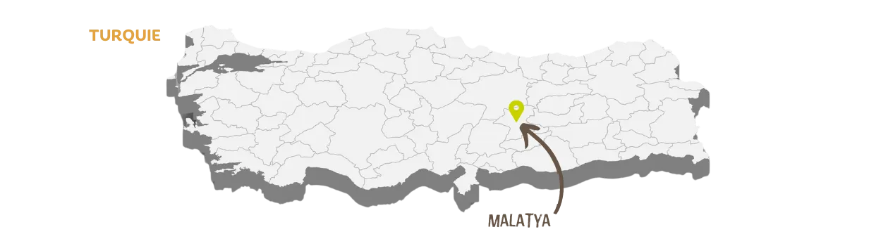 Carte Turquie figues