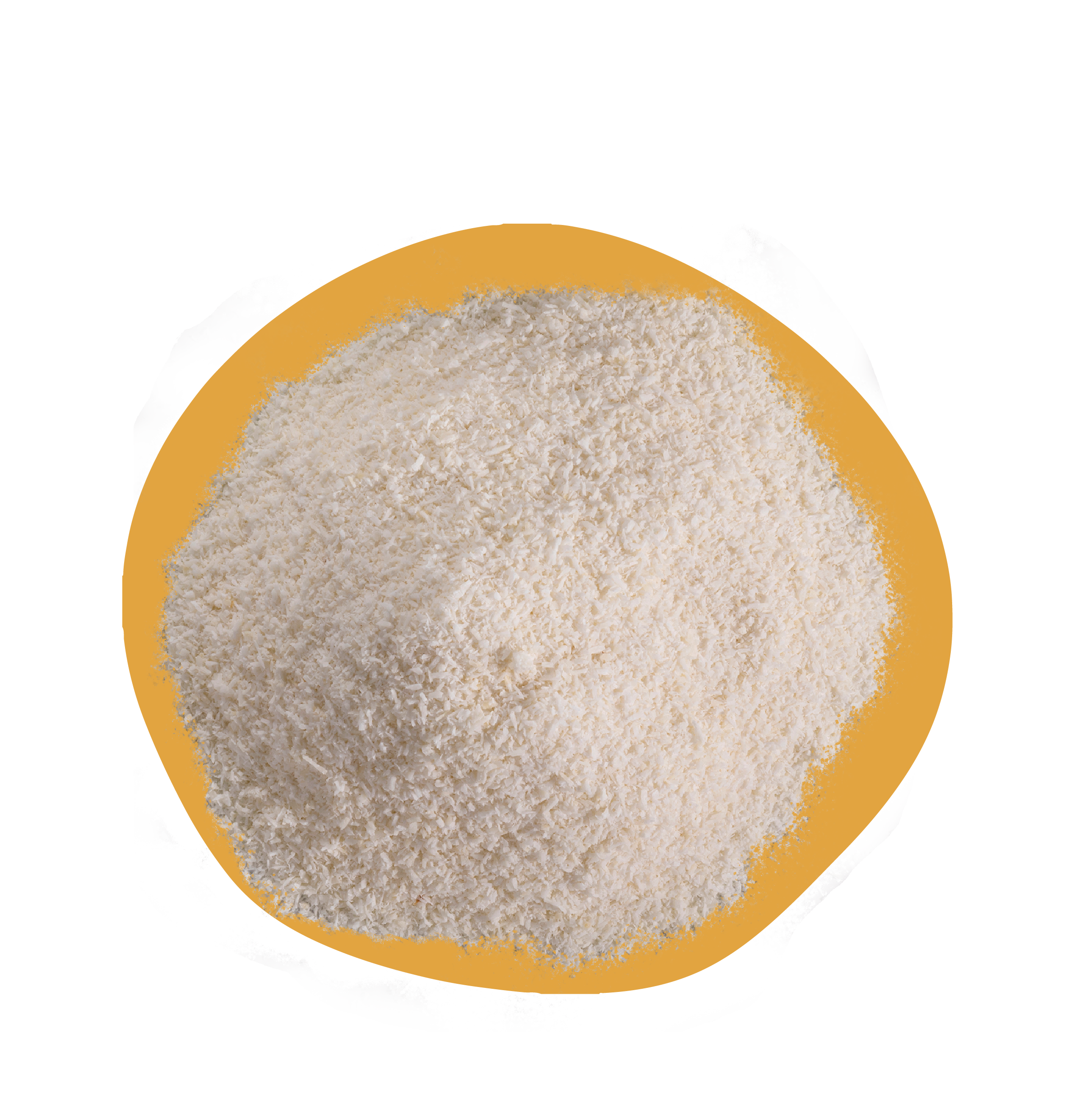 Noix de coco séchées en gros - Color Foods