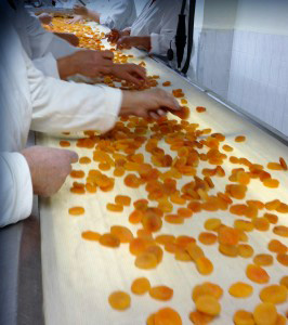 lavage abricot